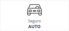 + Detalhes Sobre Seguro Auto