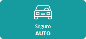 + Detalhes Sobre Seguro Auto