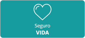 + Detalhes Sobre Seguro de Vida